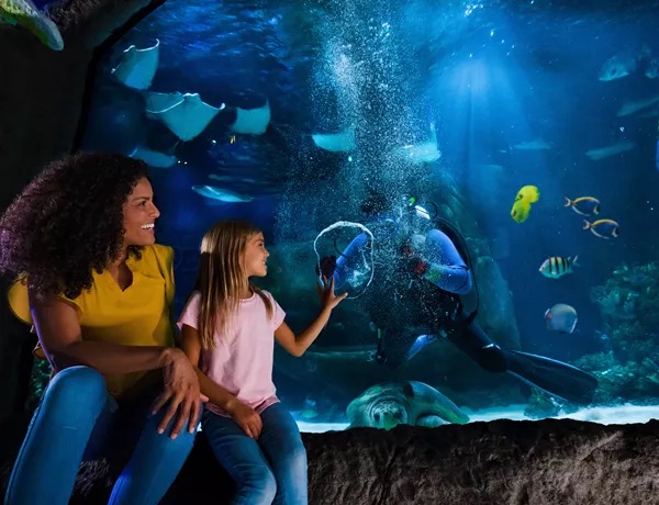 Exploring the Best Indoor Attractions in Orlando, Florida