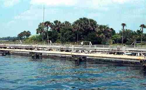 Is There A Wave Machine HIDDEN In the Seven Seas Lagoon?