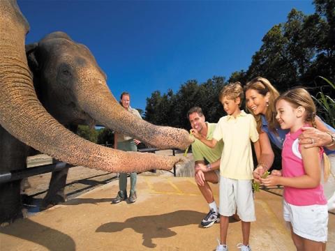 Best Wildlife Attractions in Orlando, Florida